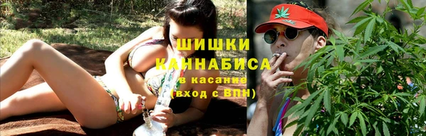 шишки Алексеевка