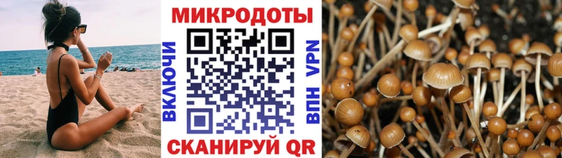 Галлюциногенные грибы MAGIC MUSHROOMS  площадка как зайти  Пустошка 